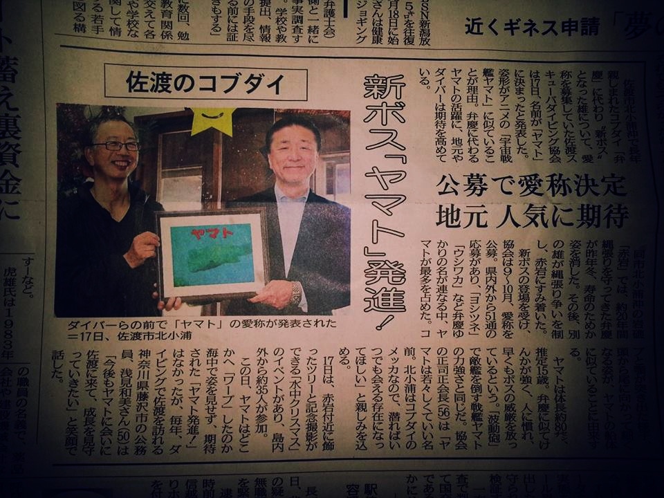 1473867_477350545713620_622494992_n