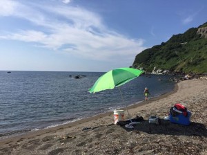 11232710_1679877875564883_5979330437991632999_n