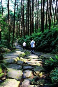 11825662_10204711204083064_3593404039329711529_n