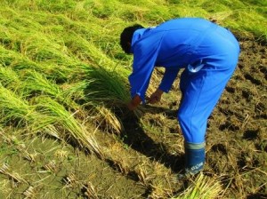 ???????????????????????????????