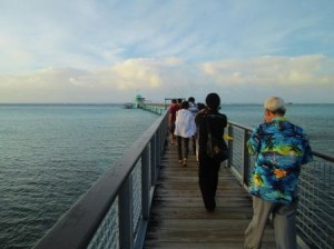 ???????????????????????????????