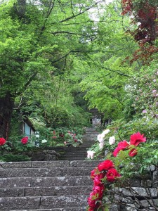 13094346_1779086018977401_8138710197958405453_n