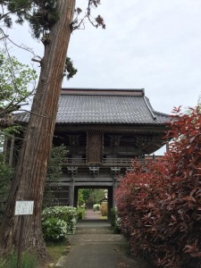 13151745_1778737525678917_881727256639525253_n