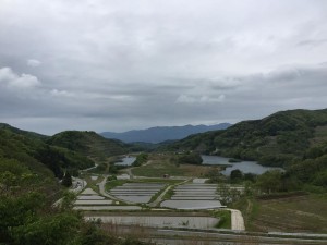 13166047_1779086002310736_6987662025208520652_n