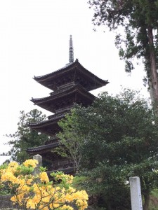 13178939_1779085998977403_8525057588192949004_n