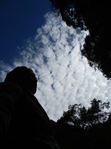 14666091_1143171365772404_1706939635276714352_n