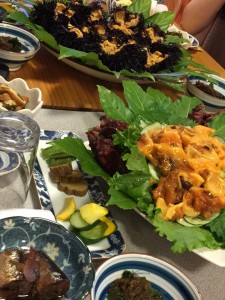 20245353_1170161579754458_6725010473453905013_n