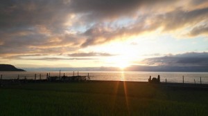 20768205_1451398208283050_8169444514372810876_n