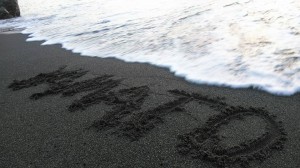 20841754_1457714174318120_136479298190437190_n