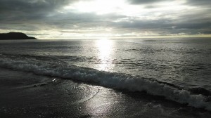 20882508_1456759971080207_4266347342254086786_n