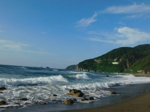 21150135_1464998563589681_9071388636552224483_n