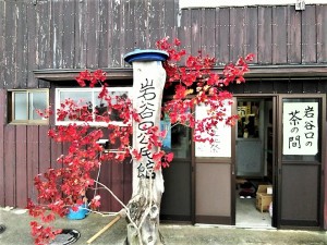 23130962_1533344446755092_6625490975458185416_n