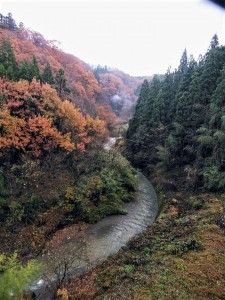 24058927_1554004061355797_8563599949311734352_n