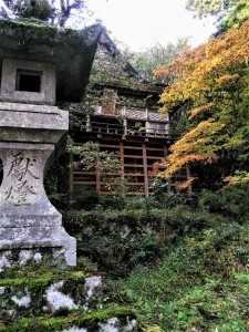 DSC_1009_20171107125930