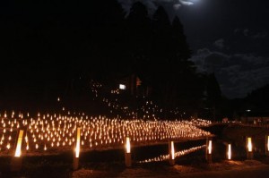 17384ba2212084191003