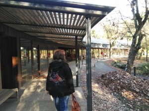 24991517_1573415266081343_8969042864158890104_n