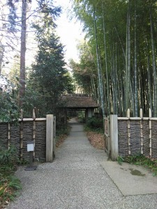 24991612_1573415226081347_4706580879770117172_n