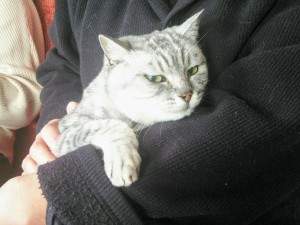 DSC_1381_20171225202049