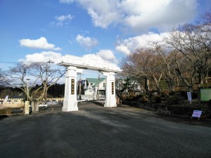 DSC_1382_20171225202034