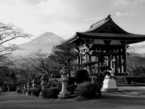 DSC_1412_20171225220515