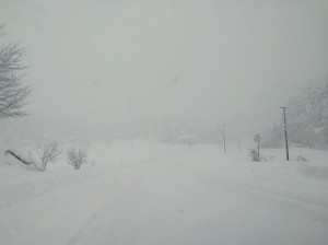 26731555_1606838429405693_6145580154136667371_n