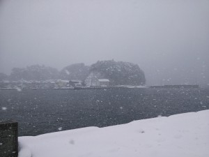 DSC_1714_20180116133301