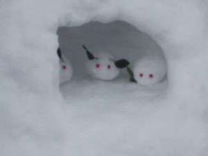 DSC_1744_20180116134054