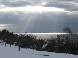 DSC_1747_20180116134116