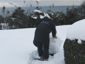 DSC_1748_20180116134130