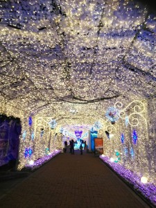 27752564_1639491059473763_5963948475612522965_n