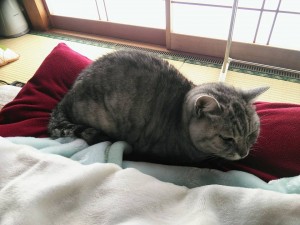 27867175_1639490966140439_7499304352508177849_n