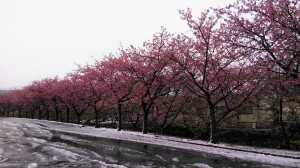 29432314_1677971148959087_6295702039028563968_n