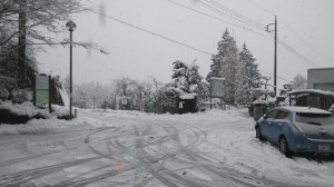 29468768_1677971112292424_1684747436351815680_n