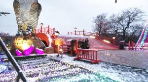 29496743_1679753985447470_1061287923118276414_n