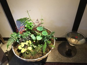 29512200_1679755782113957_2793382321042342378_n