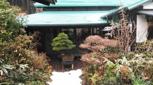 29513001_1679755542113981_2529874248453104922_n