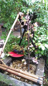 29541154_1679756018780600_2968331717256171725_n