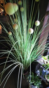 29597762_1679755388780663_5780928482675596388_n