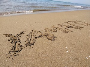 33118874_1740932889329579_5585870753909178368_n