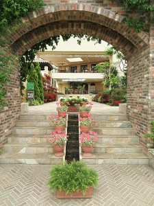 33216166_1742604142495787_7897543004406153216_n