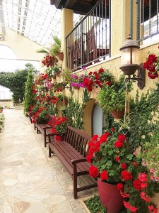 33228038_1742604095829125_3825461971080183808_n