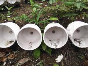 33308254_1742603559162512_1590373402697269248_n