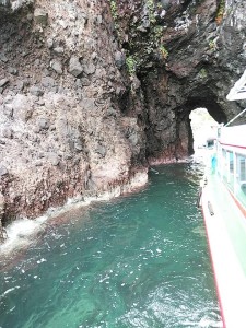 33340919_1742603835829151_4373021076700004352_n