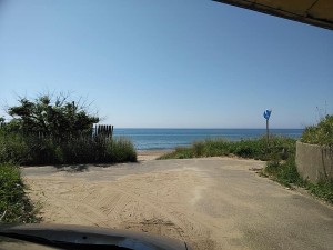 33340967_1740932802662921_5834753014811852800_n