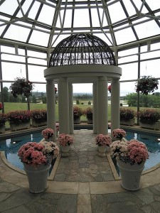 33509542_1742604059162462_7145721211308212224_n