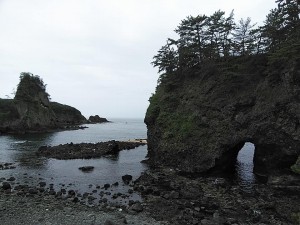 33553536_1742603962495805_7837200822726295552_n