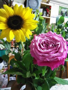 35241132_1765029446919923_5175082553958203392_n