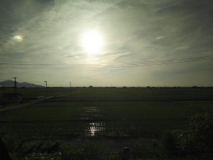 35477405_1770122803077254_1865026665671819264_n