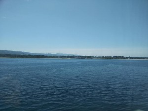 35728688_1771185486304319_5984765570942238720_n