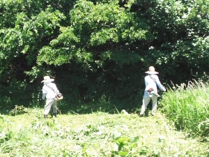 35870781_1776346895788178_450946328852168704_n